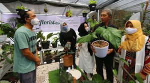 Bogor Miliki Pasar Tanaman Hias Terbesar di Indonesia