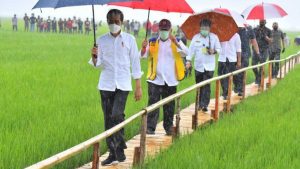 Presiden Joko Widodo Tinjau Infrastruktur Irigasi Food Estate Kabupaten Sumba Tengah, NTT