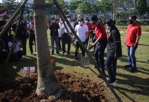 Elite PDIP Tanam Pohon di GBK: Dari Pohon Matoa Hingga Mangga