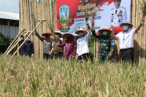 Mendagri Harap Kampung Sehat Dasan Cermen Jadi Model Penanganan Covid-19 dan Penerapan PPKM Mikro