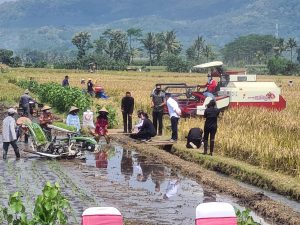 Ikut Panen Raya di Malang, Puan: Pertanian adalah Urusan Hidup Matinya Sebuah Bangsa