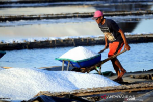 Garam Lokal Karawang Tak Laku Dijual