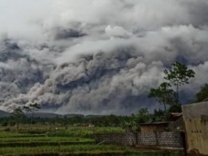 SEMERU HARU, SEMERU LUCU