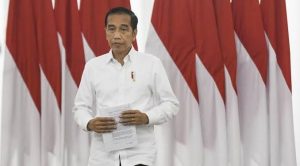 Empat Kekuatan RI di Mata Jokowi