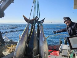 Sakti Wahyu Trenggono, Akan Adopsi Teknologi Budidaya Tuna dari Turki