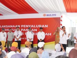 Jokowi Pastikan Penyaluran Banpang di Sulteng Jelang Idulfitri Tepat Sasaran