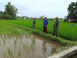 Lokasi Ketahanan Pangan di Lubeg Padang Untuk Dukung Program Pemerintah