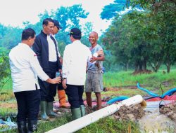 Andi Amran: Ini Bentuk Dukungan Pemerintah terhadap Petani