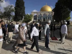 Ekstremis Yahudi Gencar Serbu Al-Aqsha Sebelum Ritual Sapi Merah