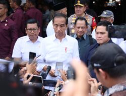 Presiden Jokowi Angkat Basuki Hadimuljono dan Raja Juli Antoni Jadi Plt Kepala dan Wakil Kepala Otorita IKN