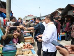 Mendagri Tito Karnavian Cek Harga Pangan di Pasar Senggol Dumai