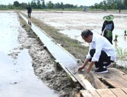 Kutukan Akhir Jabatan Jokowi